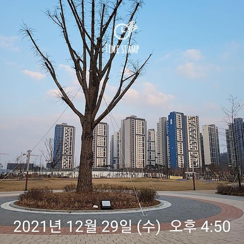 컨텐츠파일