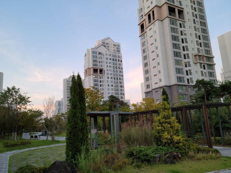 파파