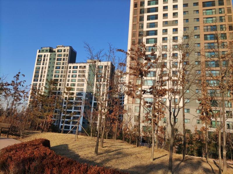 컨텐츠파일