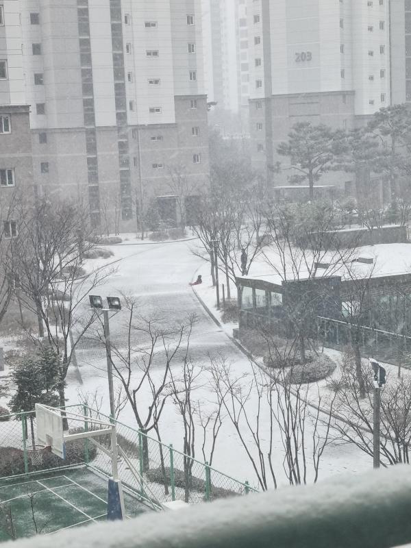 컨텐츠파일