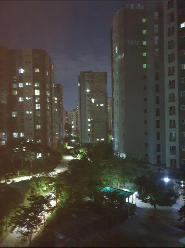 뱃희