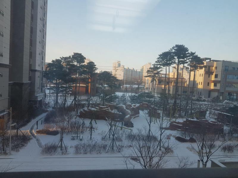 도로시밴드
