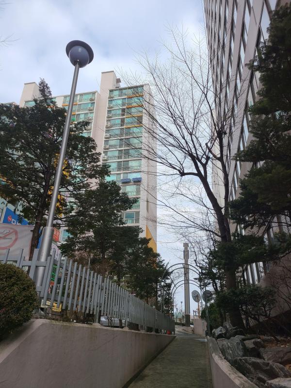 컨텐츠파일