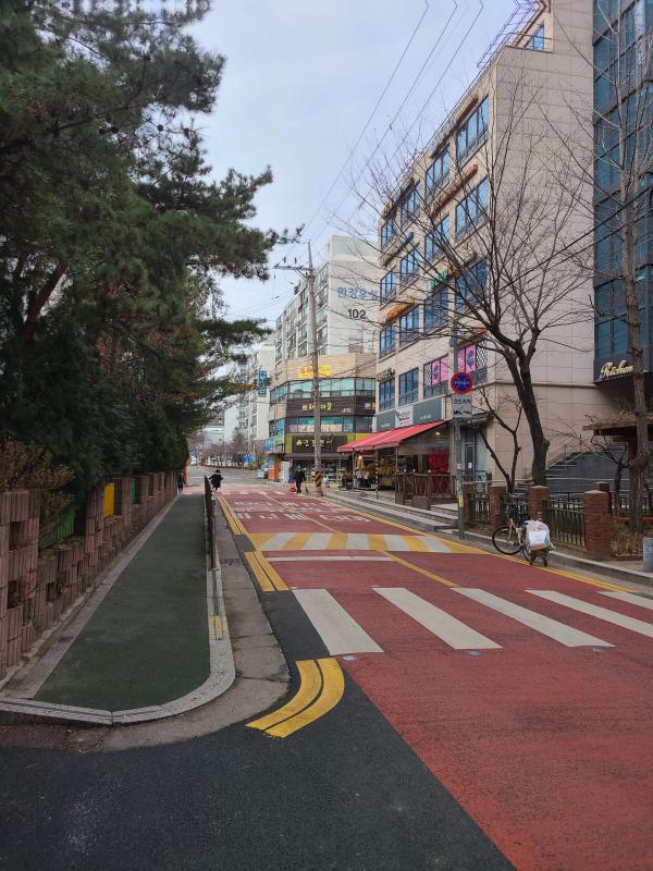 알파카