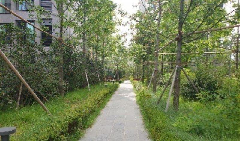 컨텐츠파일