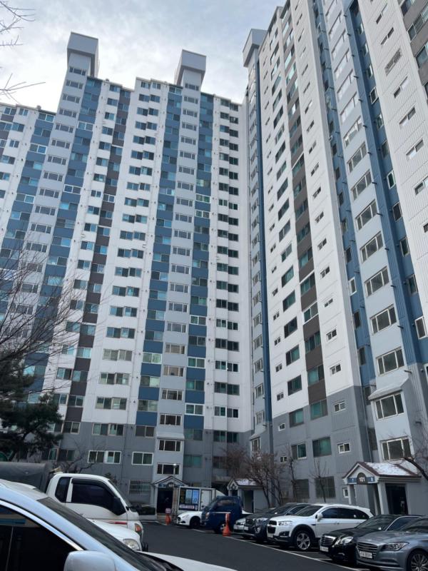 컨텐츠파일