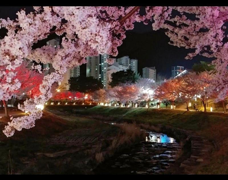 풀에버의 봄