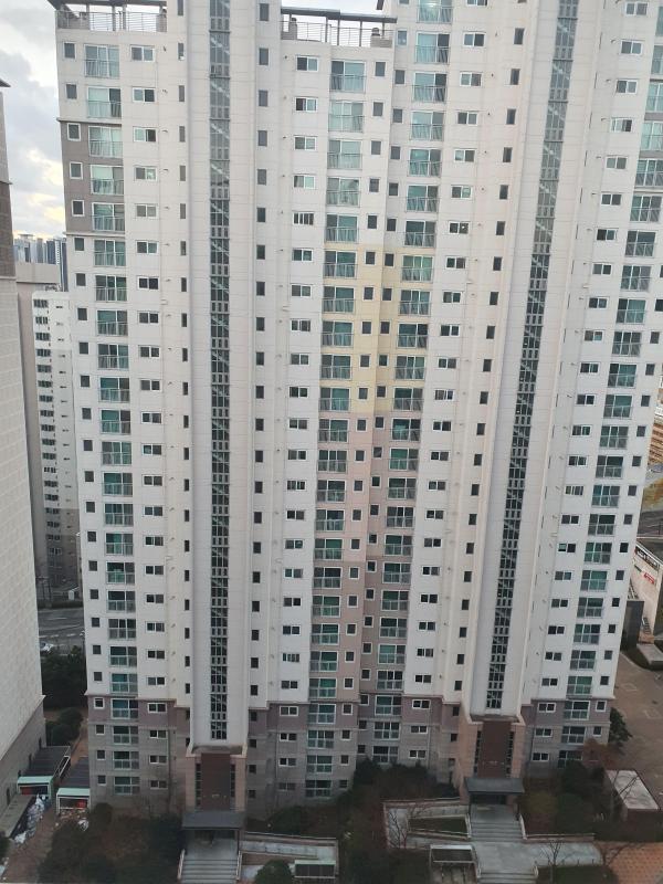 컨텐츠파일