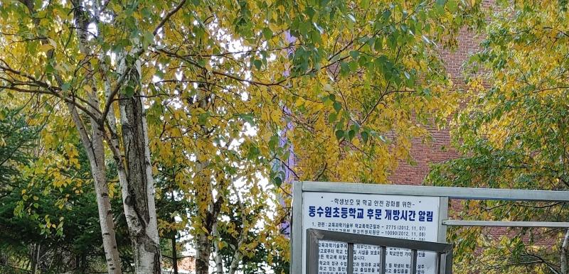 컨텐츠파일
