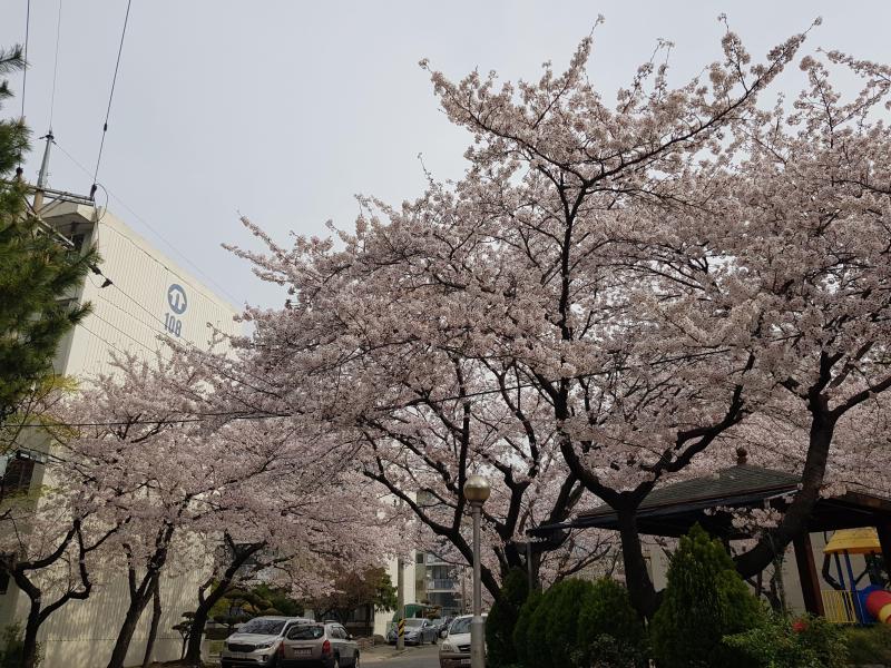 컨텐츠파일