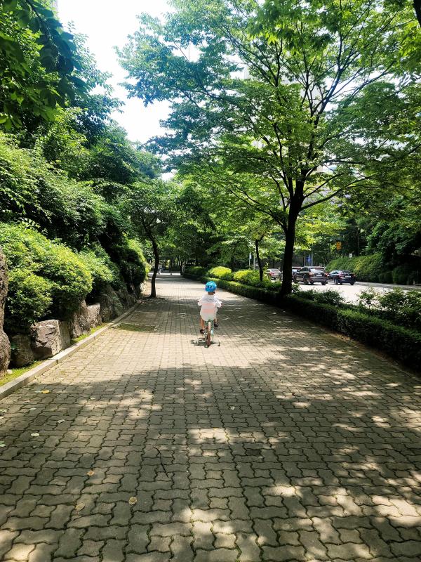 컨텐츠파일