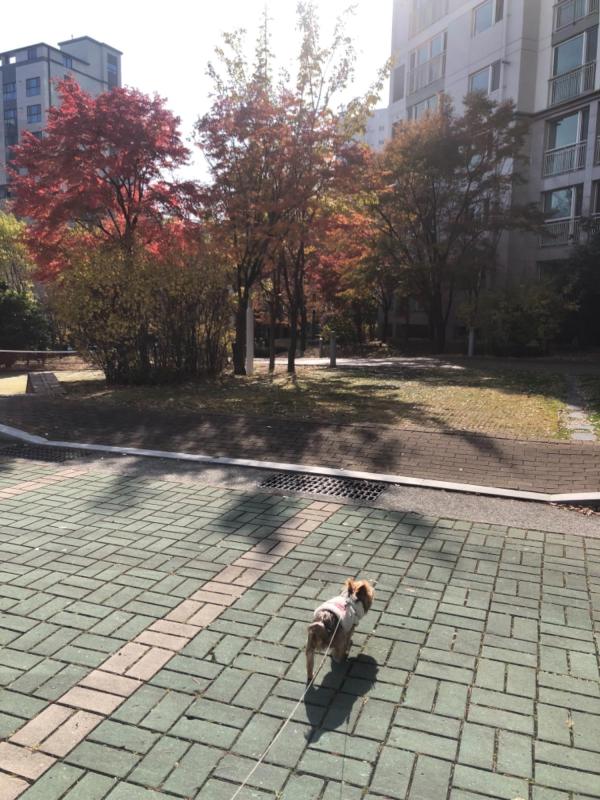 컨텐츠파일