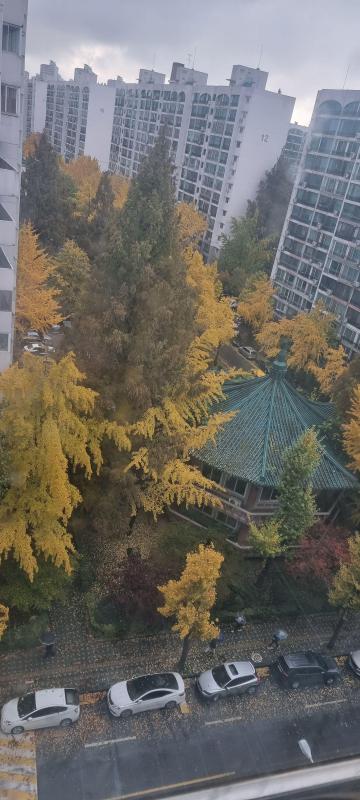 컨텐츠파일