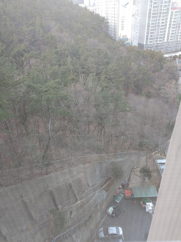 컨텐츠파일