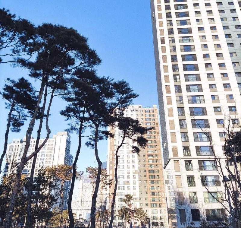 컨텐츠파일