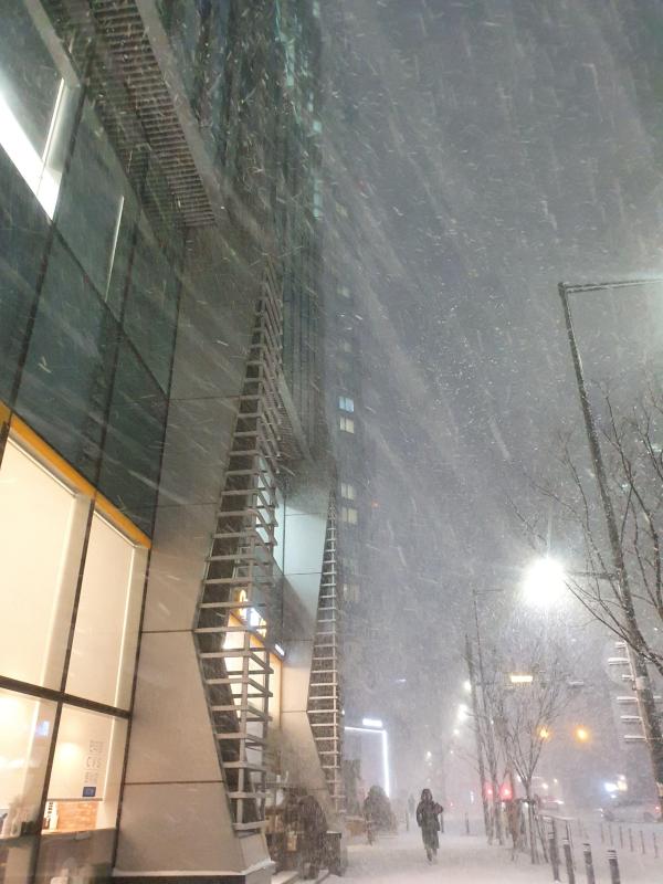 컨텐츠파일