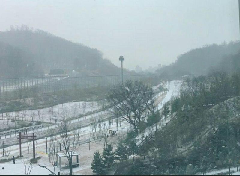 컨텐츠파일