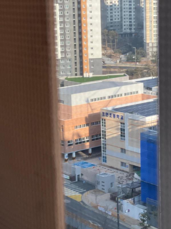 컨텐츠파일