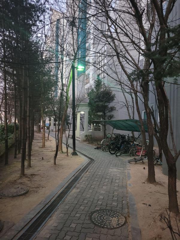 기억