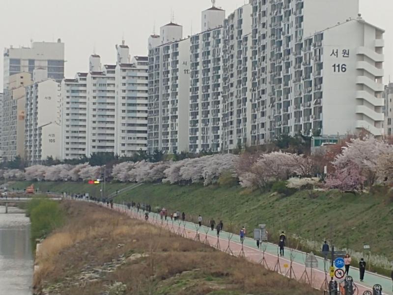 컨텐츠파일