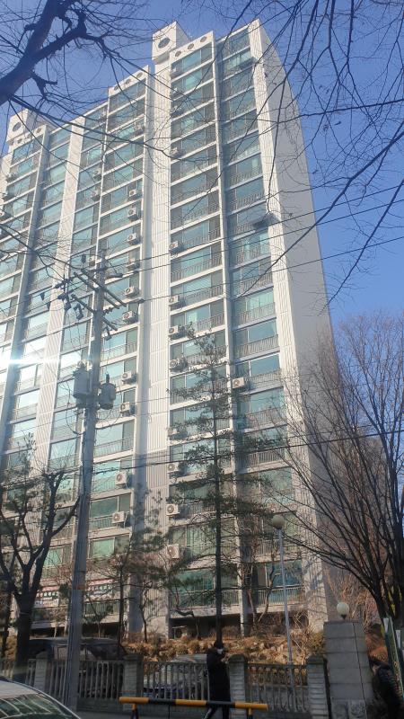 쪈쪈