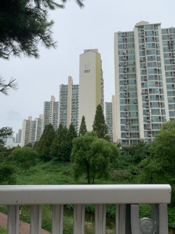나라비