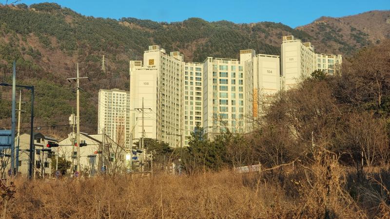 컨텐츠파일