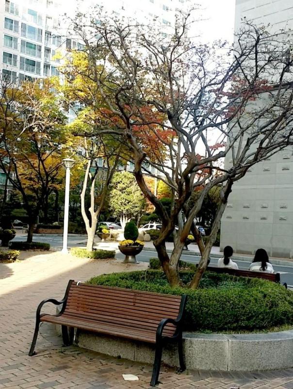 컨텐츠파일