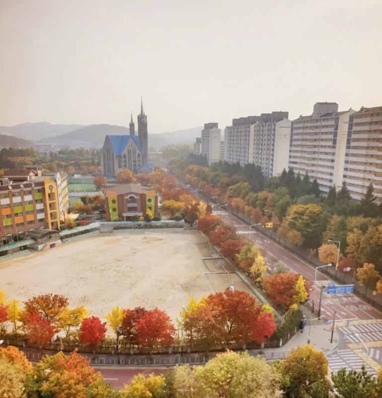컨텐츠파일