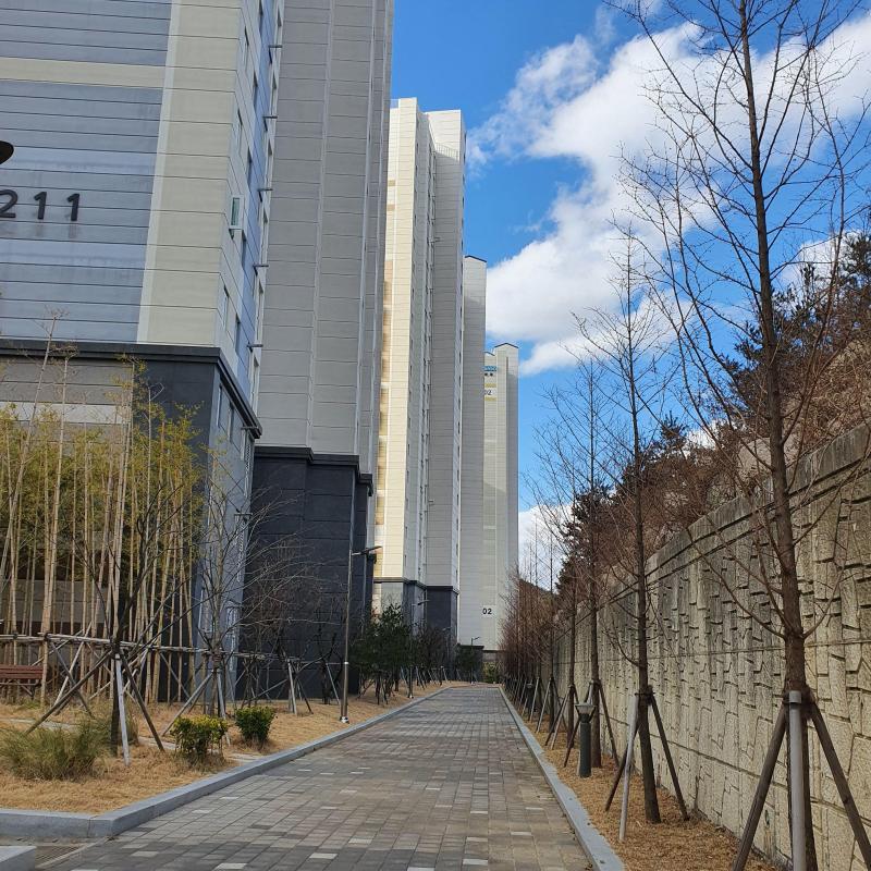 컨텐츠파일