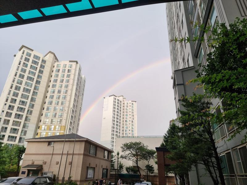 컨텐츠파일