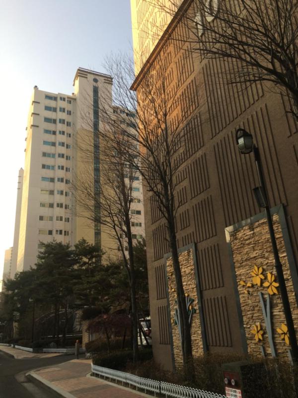 세네