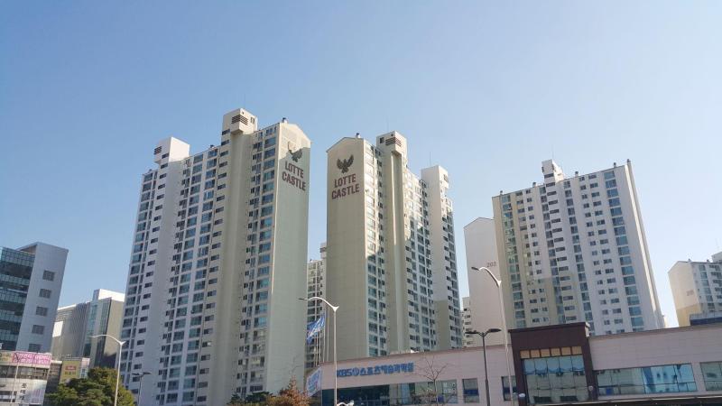 컨텐츠파일