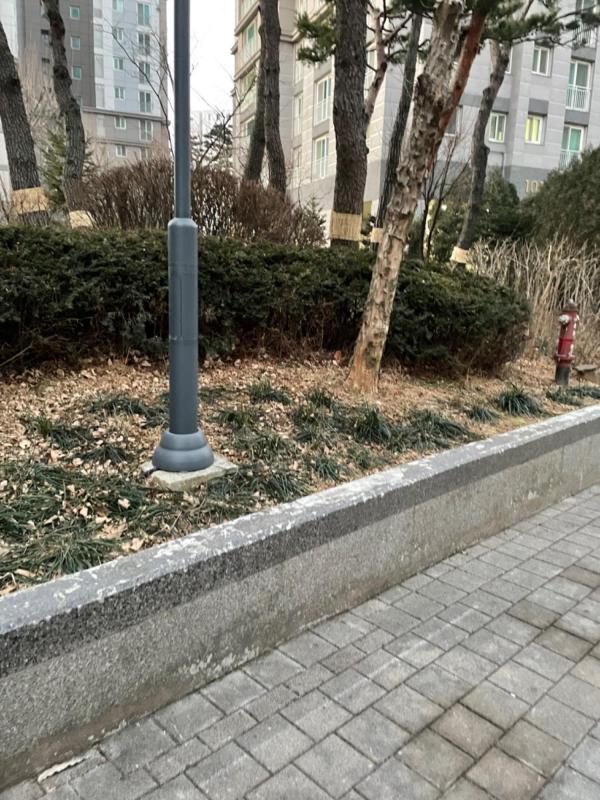 자유의날개
