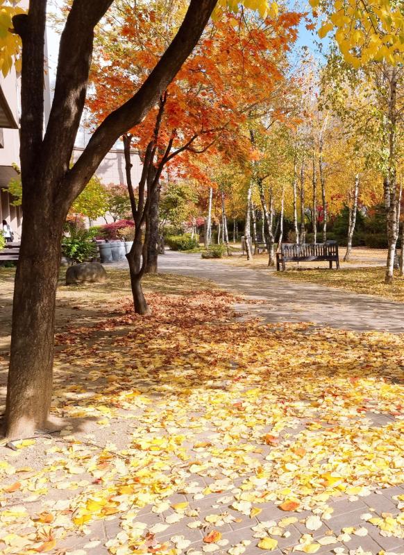 컨텐츠파일