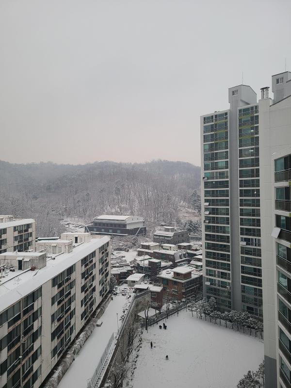 컨텐츠파일