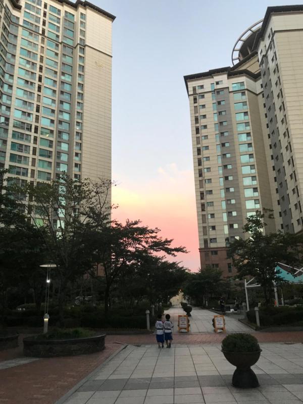 컨텐츠파일