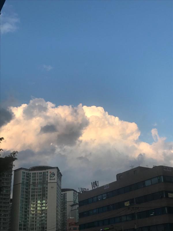 컨텐츠파일