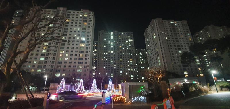 초록버섯