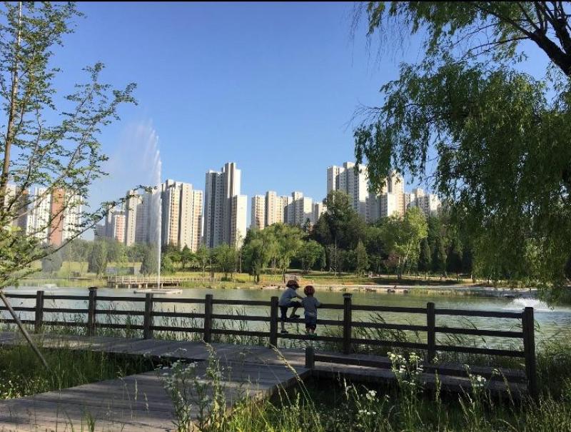 컨텐츠파일