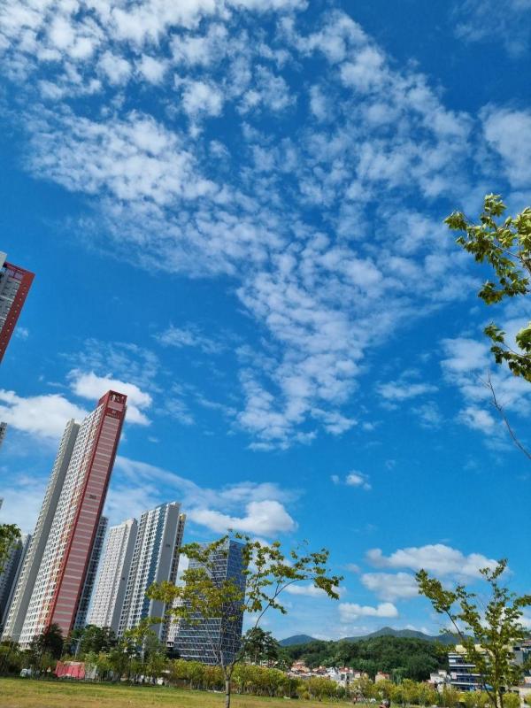 컨텐츠파일