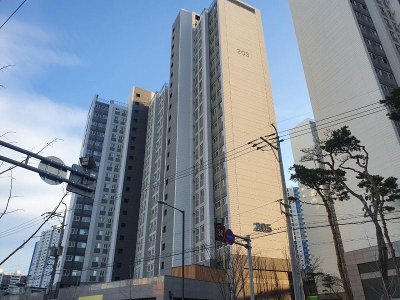 컨텐츠파일