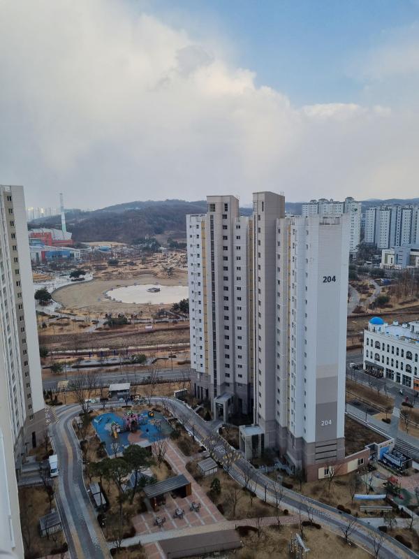 아직영