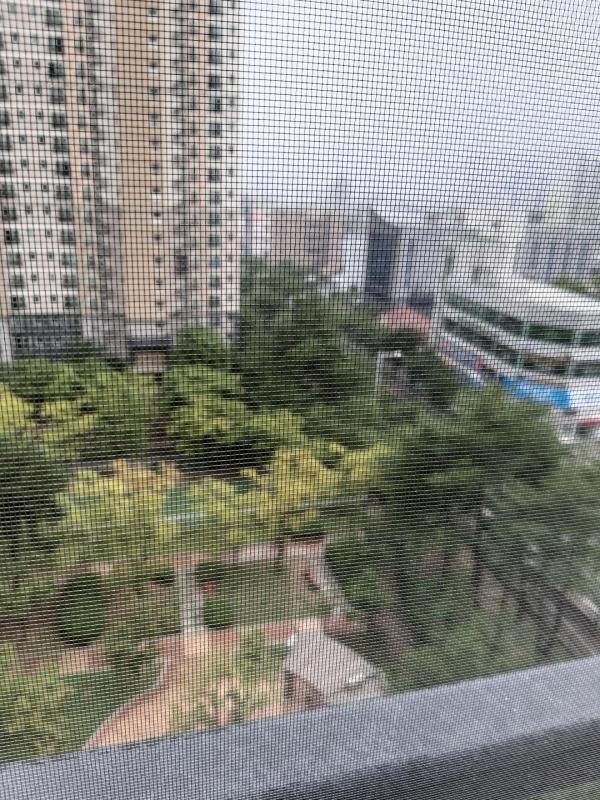 라떼왕