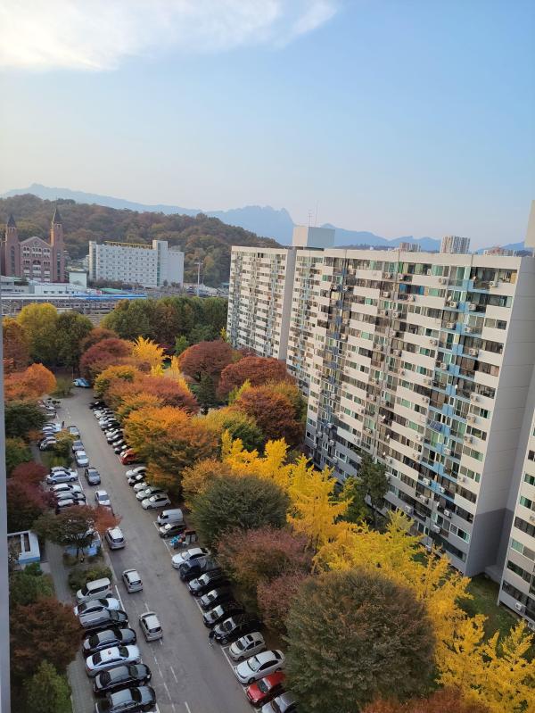 뽀읻뽀