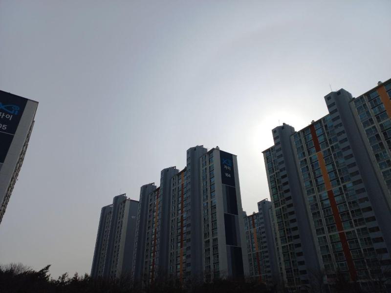 컨텐츠파일