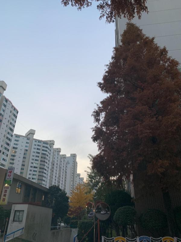 컨텐츠파일