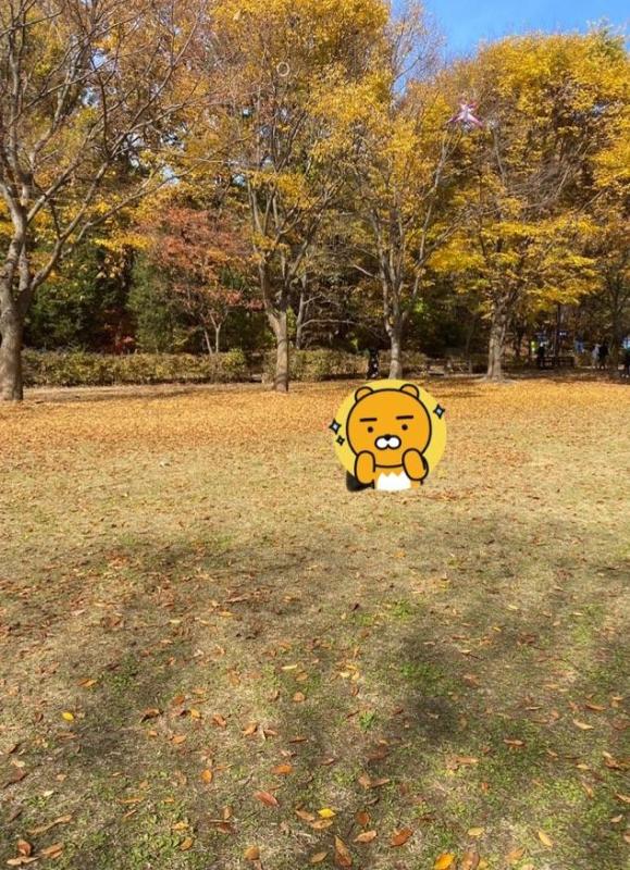 컨텐츠파일
