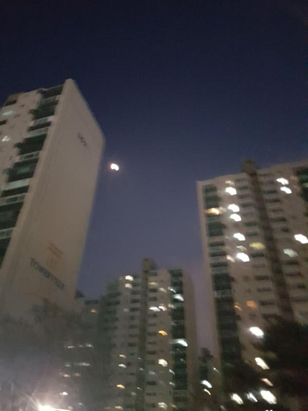 컨텐츠파일