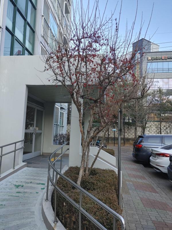 곽은미
